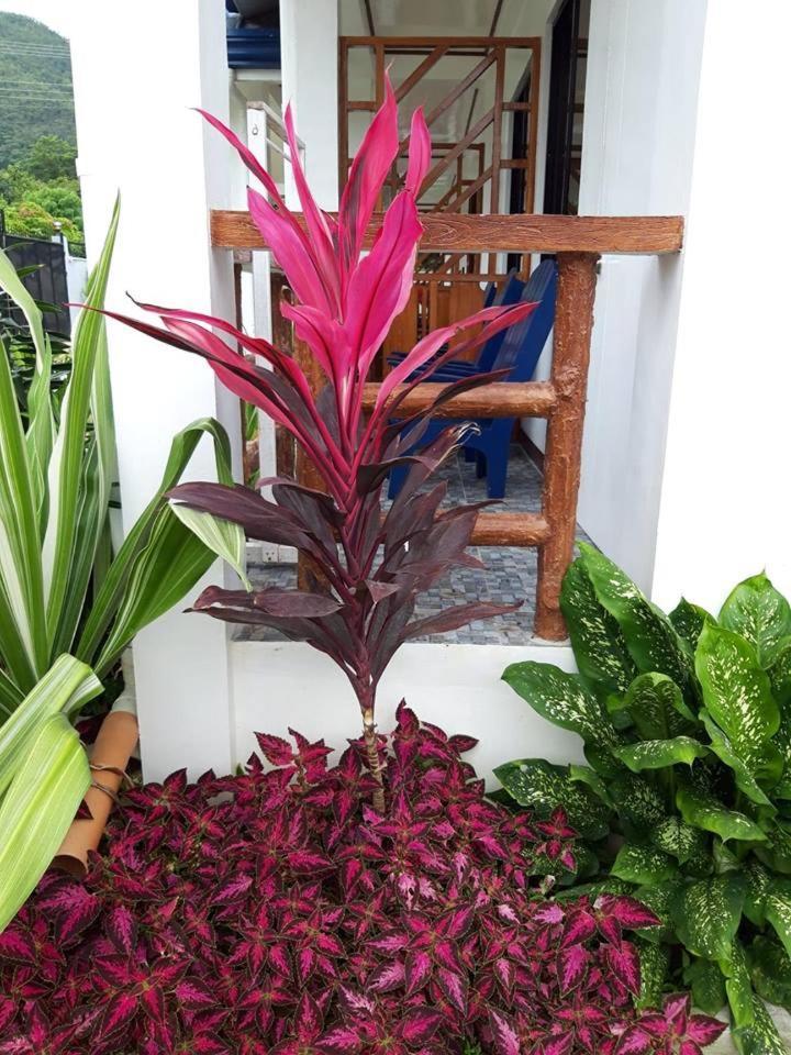 קורון Bella Vita Guest House מראה חיצוני תמונה